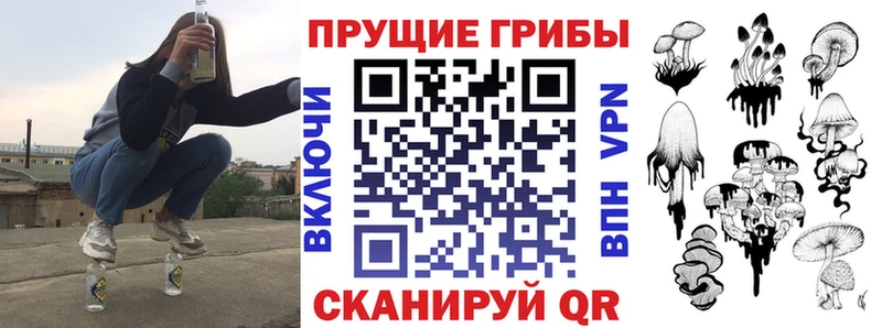 Псилоцибиновые грибы ЛСД  купить наркоту  Амурск 